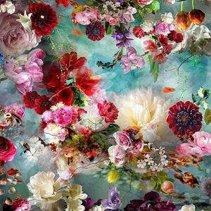 Meet your Posher, Dee